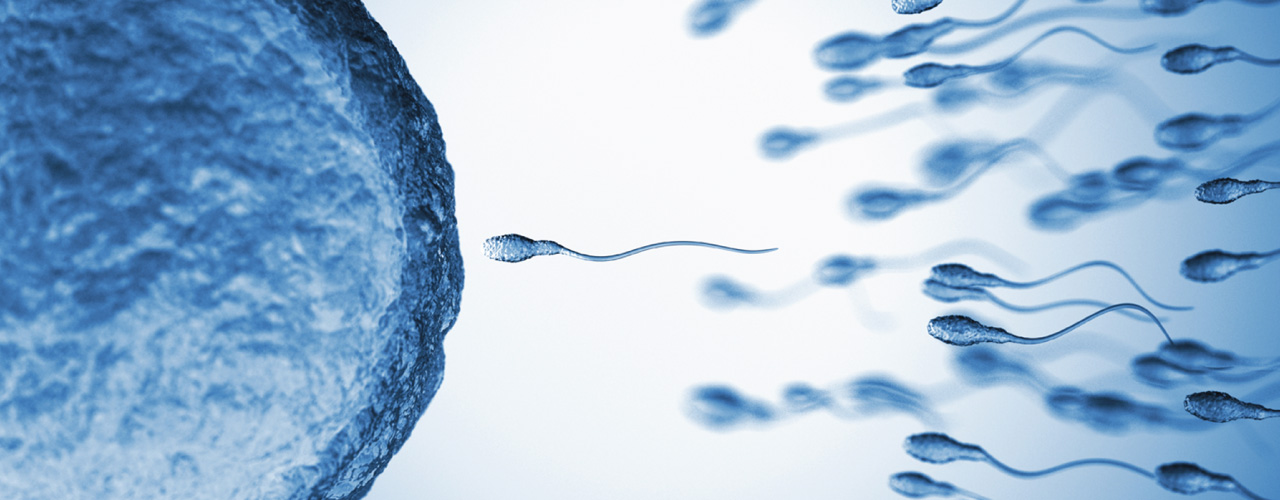 IUI – Intrauterine Insemination